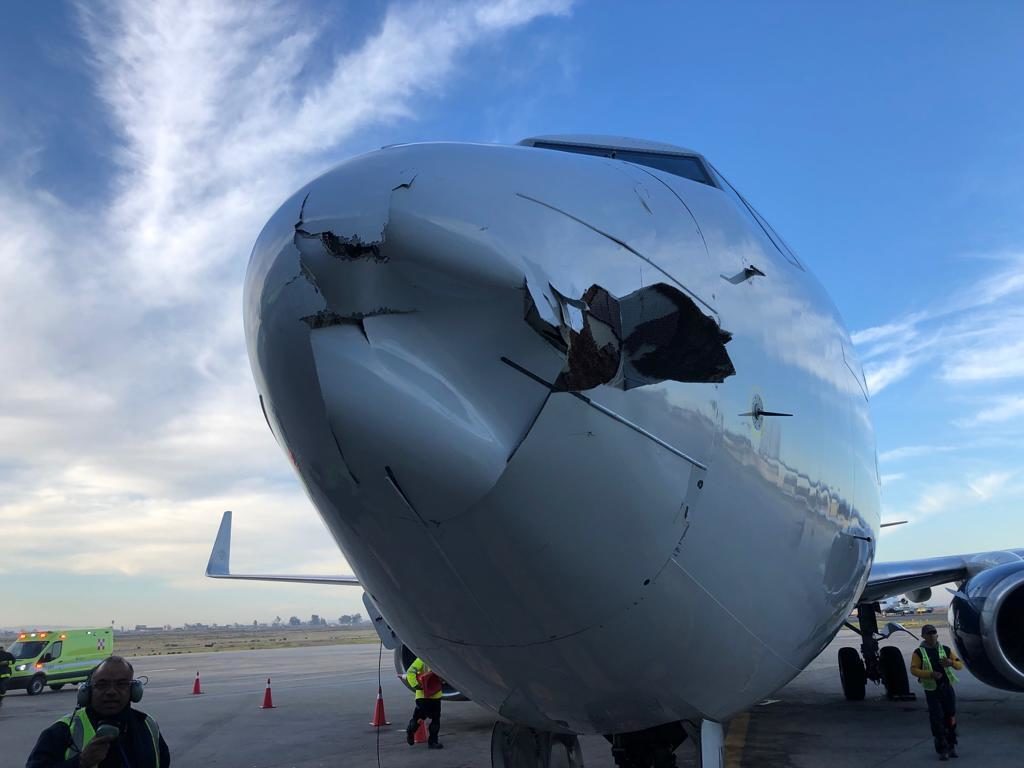 Aeromexico 737 radome