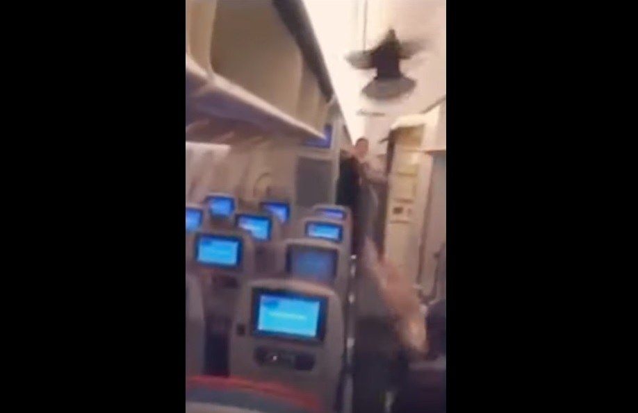 Vídeo Pombo Avião Aeroflot