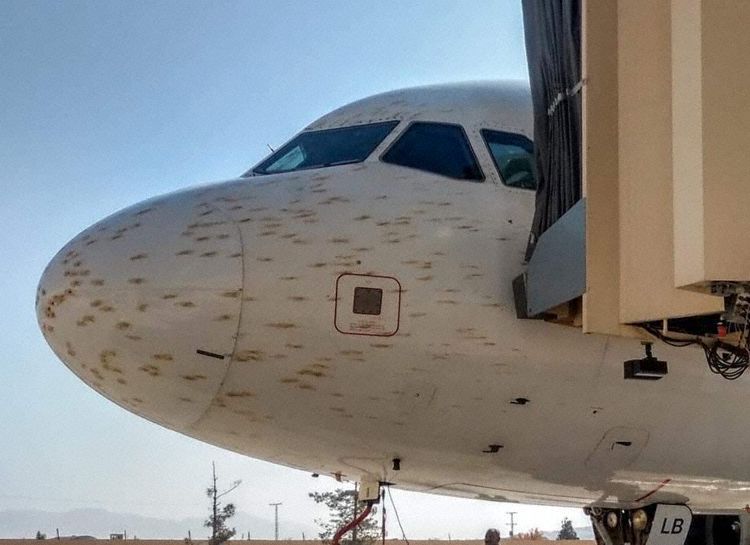 Avião Airbus A320 PIA Pintado Impacto Gafanhotos
