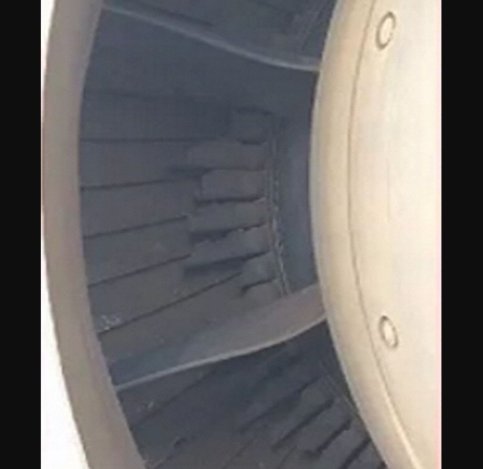 Lâminas fraturadas motor A320neo GoAir