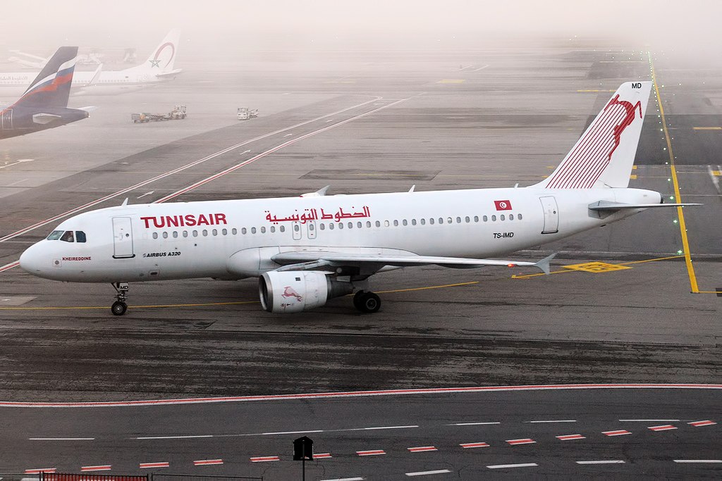 Avião Airbus A320 Tunisair bird strike caça caçador
