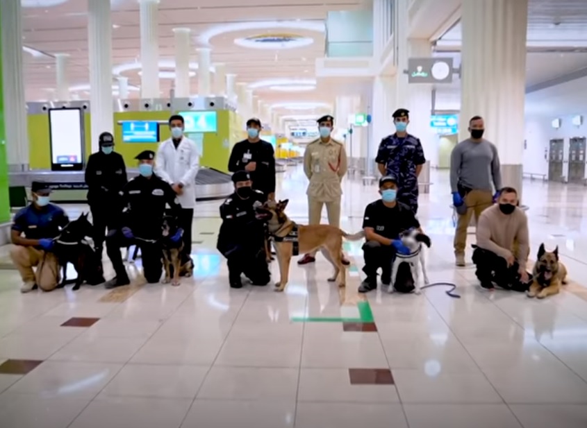 Emirados Árabes Cães Detecção Covid-19 Aeroportos